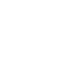 Technische Daten  Pro:  Platzbedarf 1,5m breit X 2m tief,  Strombedarf 230V Aufbauzeit ca. 45min  Duell Platzbedarf 3m breit X 2m tief,  Strombedarf 230V Aufbauzeit ca. 60min  Betreuung notwendig: 1 Person